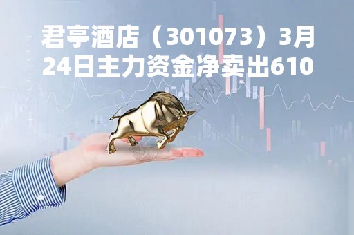 君亭酒店（301073）3月24日主力资金净卖出610.80万元