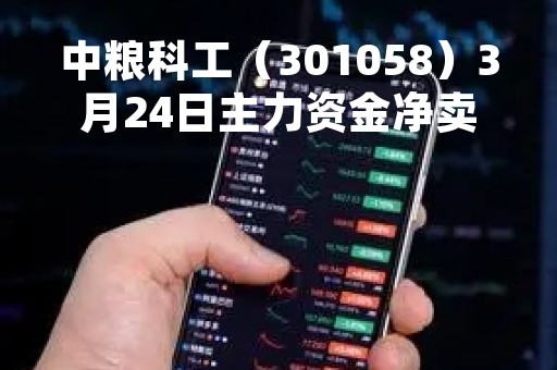 中粮科工（301058）3月24日主力资金净卖出3430.92万元