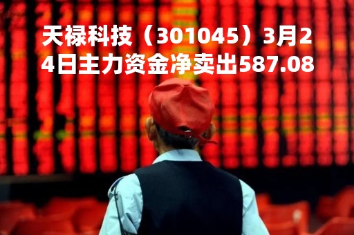 天禄科技（301045）3月24日主力资金净卖出587.08万元