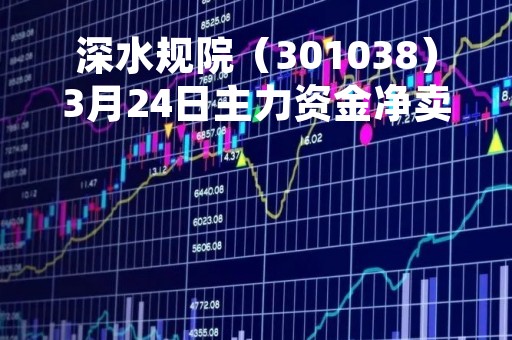 深水规院（301038）3月24日主力资金净卖出460.76万元