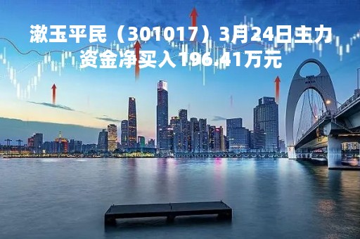 漱玉平民（301017）3月24日主力资金净买入196.41万元