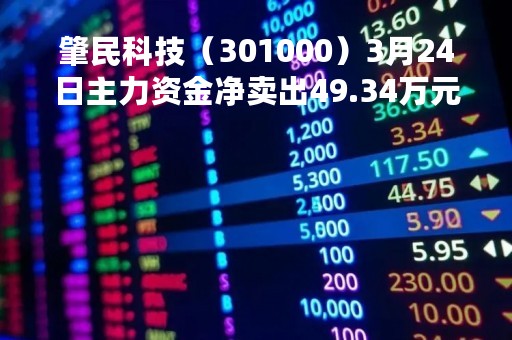 肇民科技（301000）3月24日主力资金净卖出49.34万元