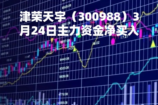 津荣天宇（300988）3月24日主力资金净买入4132.00元