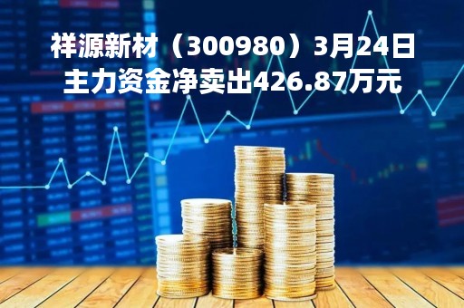 祥源新材（300980）3月24日主力资金净卖出426.87万元