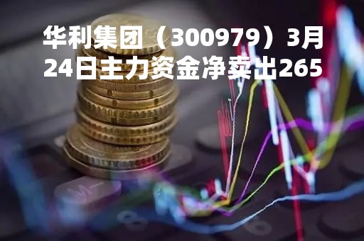 华利集团（300979）3月24日主力资金净卖出265.56万元