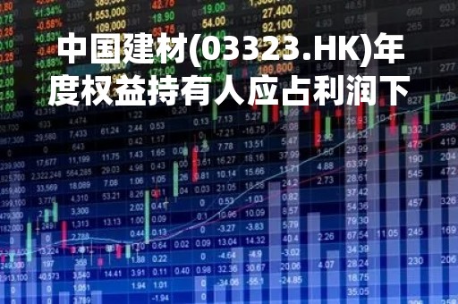 中国建材(03323.HK)年度权益持有人应占利润下降51.2%至79.62亿元 每股派0.378元