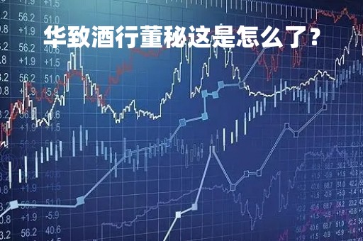 华致酒行董秘这是怎么了？