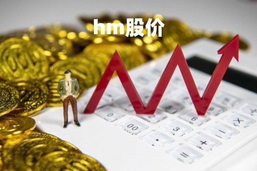 hm股价「HM股价实时行情 股票」
