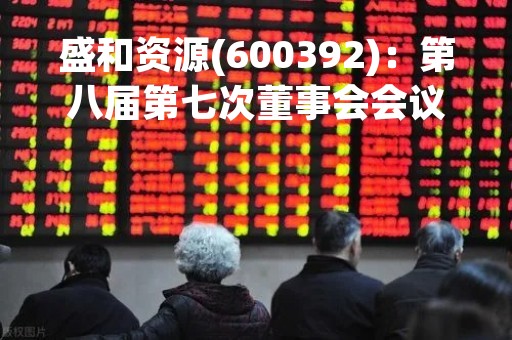 盛和资源(600392)：第八届第七次董事会会议决议，审议《关于制定〈建设项目投资管理制度〉的议案》等议案