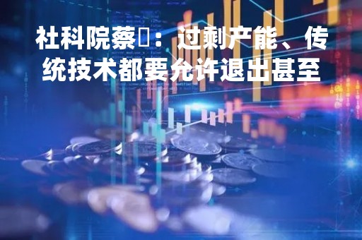 社科院蔡昉：过剩产能、传统技术都要允许退出甚至死亡 唯独人要得到保护