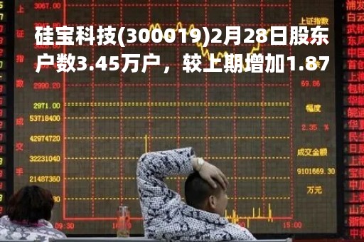 硅宝科技(300019)2月28日股东户数3.45万户，较上期增加1.87%