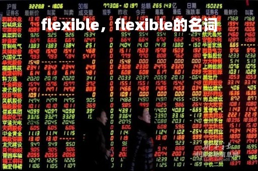 flexible，flexible的名词