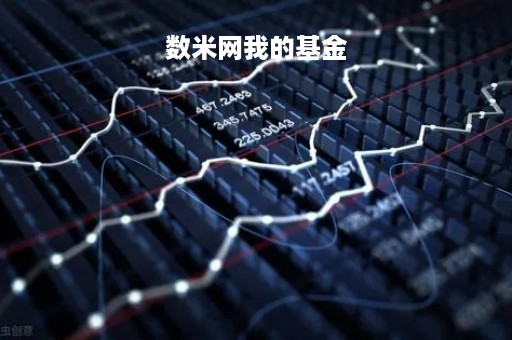 数米网我的基金「数米基金现在在哪里查询啊」