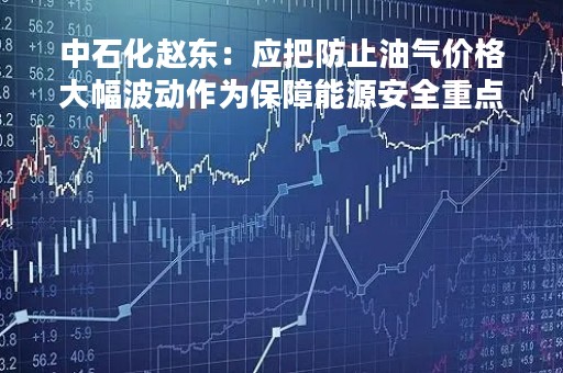 中石化赵东：应把防止油气价格大幅波动作为保障能源安全重点
