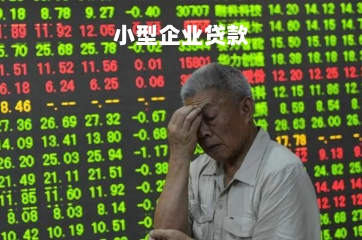 小型企业贷款「企业贷款」