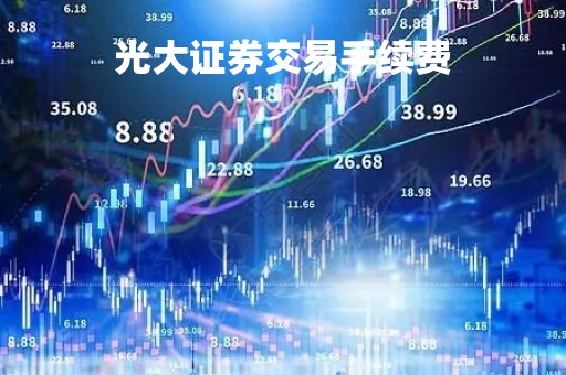光大证券交易手续费「光大证券交易手续费如何下调」