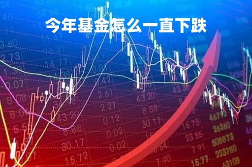 今年基金怎么一直下跌
