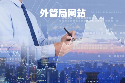 外管局网站「外管局网站晚上能登陆吗」