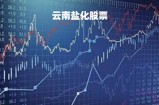 云南盐化股票「云南盐化股票600725」
