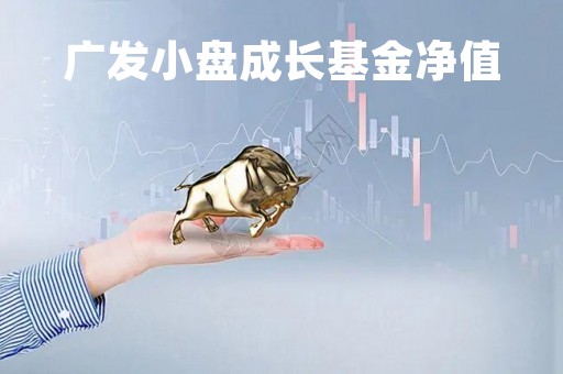 广发小盘成长基金净值「广发小盘成长基金净值查询59002」