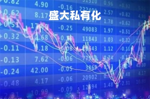 盛大私有化「盛大私有化什么意思」