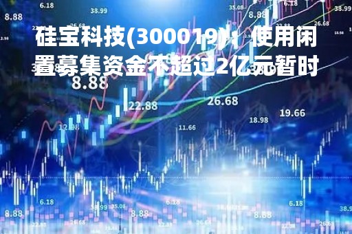 硅宝科技(300019)：使用闲置募集资金不超过2亿元暂时补充流动资金