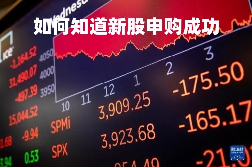 如何知道新股申购成功