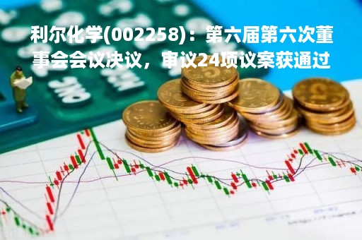 利尔化学(002258)：第六届第六次董事会会议决议，审议24项议案获通过