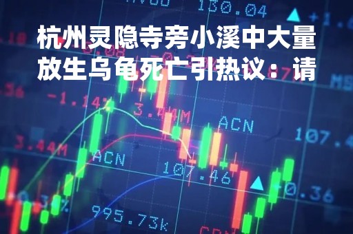 杭州灵隐寺旁小溪中大量放生乌龟死亡引热议：请善待环境 停止放生