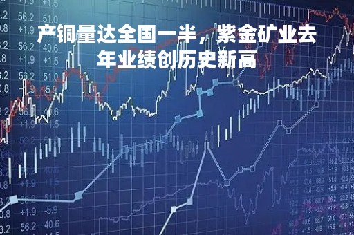 产铜量达全国一半，紫金矿业去年业绩创历史新高