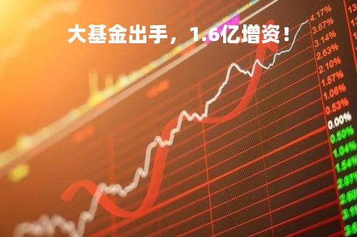 大基金出手，1.6亿增资！