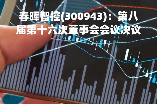 春晖智控(300943)：第八届第十六次董事会会议决议，审议《关于控股孙公司股权转让的议案》