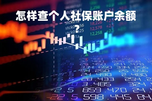 怎样查个人社保账户余额？