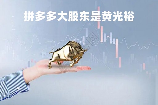 拼多多大股东是黄光裕「拼多多最大股东黄峥」