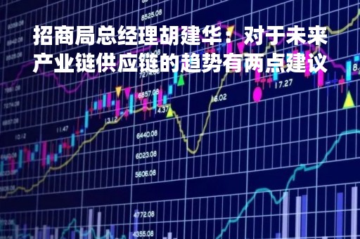 招商局总经理胡建华：对于未来产业链供应链的趋势有两点建议