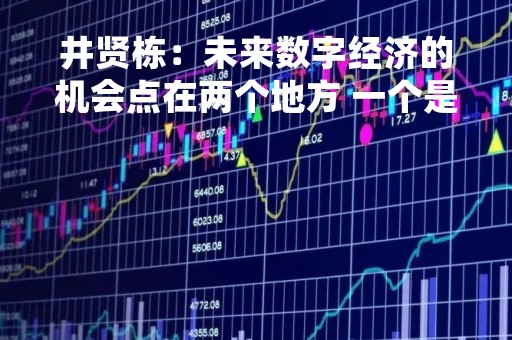 井贤栋：未来数字经济的机会点在两个地方 一个是普惠一个是协作