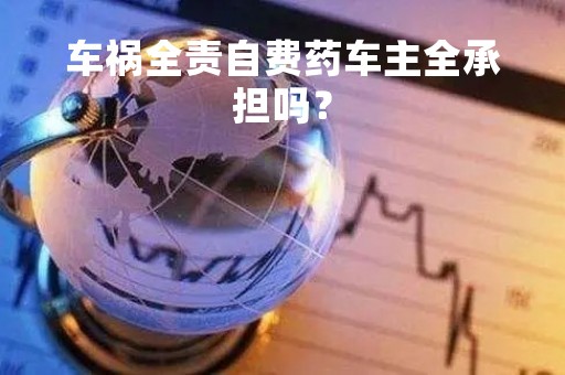 车祸全责自费药车主全承担吗？