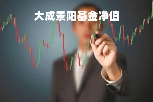 大成景阳基金净值「大成景阳基金经理」