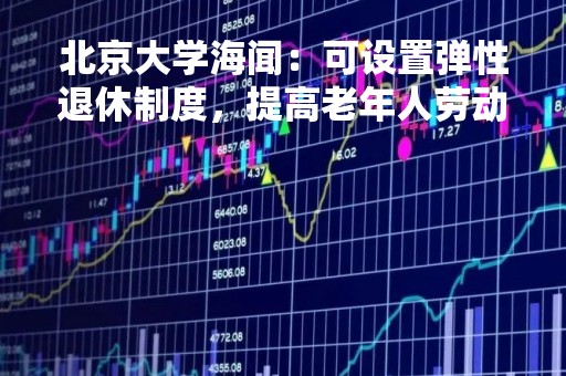 北京大学海闻：可设置弹性退休制度，提高老年人劳动参与率