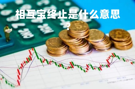 相互宝终止是什么意思？