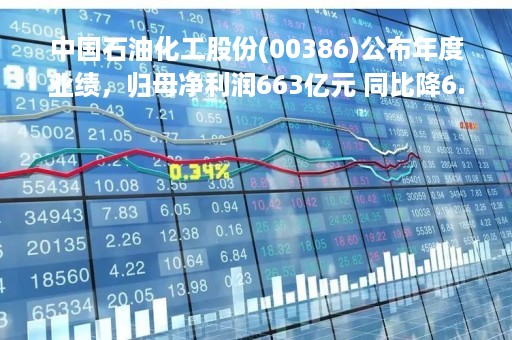 中国石油化工股份(00386)公布年度业绩，归母净利润663亿元 同比降6.9%