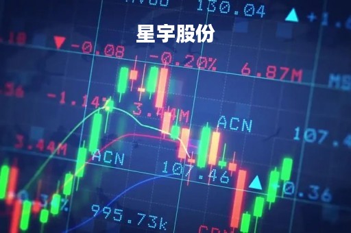 星宇股份「星宇股份最新消息」