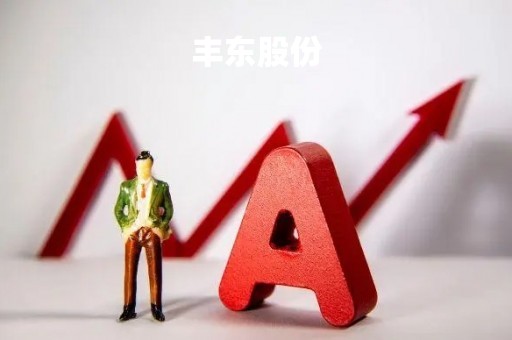 丰东股份「丰东股份有限公司老板」