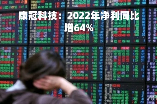 康冠科技：2022年净利同比增64%
