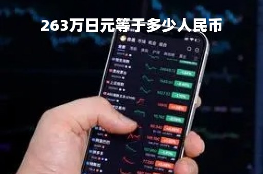 263万日元等于多少人民币