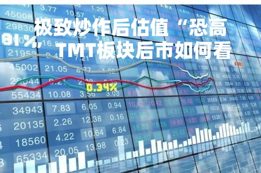 极致炒作后估值“恐高” TMT板块后市如何看