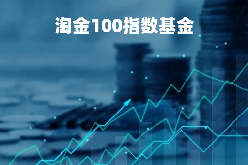 淘金100指数基金