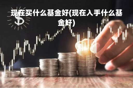 现在买什么基金好(现在入手什么基金好)
