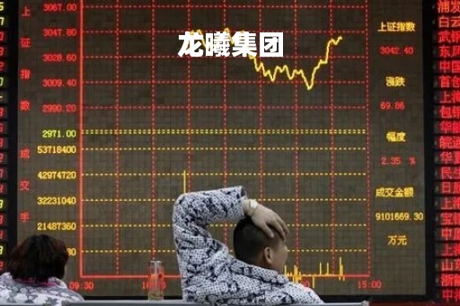 龙曦集团「龙曦集团董事长是谁」