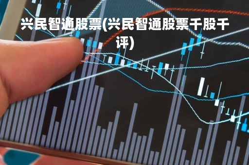 兴民智通股票(兴民智通股票千股千评)